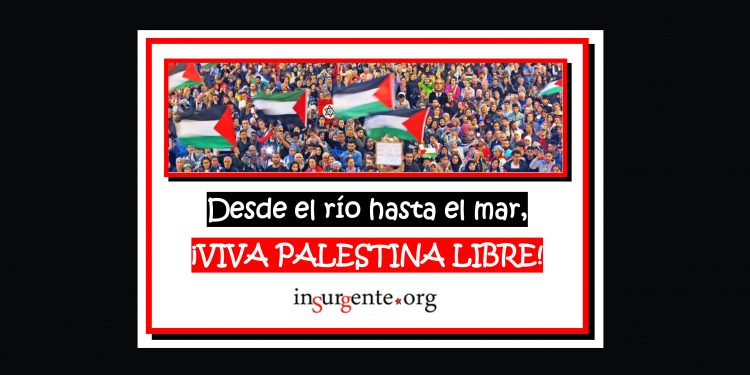 Impresionante, en Sidney (vídeo)