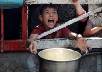 La ONU declara que en Gaza hay hambre pero de intervenir con cascos azules nada de nada, el sionismo es intocable