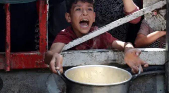 La ONU declara que en Gaza hay hambre pero de intervenir con cascos azules nada de nada, el sionismo es intocable