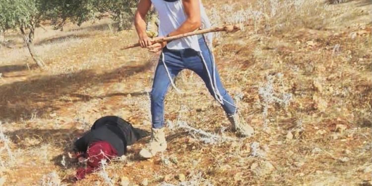 Colono sionista deja inconsciente a palos a una anciana palestina (vídeo)