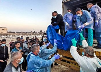 MARYAM QAREHGOZLOU. Cosecha de horror: Israel continúa robando órganos de cadáveres mutilados palestinos