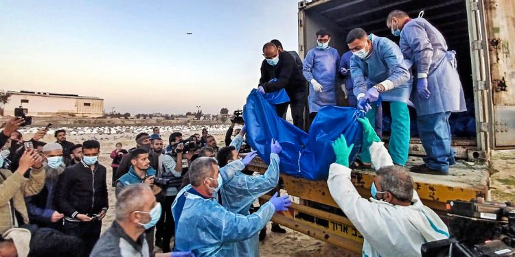 MARYAM QAREHGOZLOU. Cosecha de horror: Israel continúa robando órganos de cadáveres mutilados palestinos