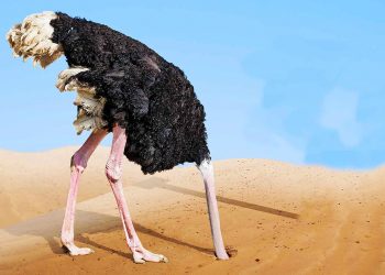 KARIMA OLIVA BELLO. Avestruz