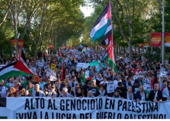Miles de personas secundaron la huelga general y se manifestaron contra el genocidio del pueblo palestino (Videos de varias ciudades)