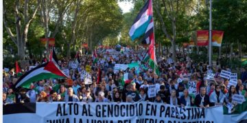 Miles de personas secundaron la huelga general y se manifestaron contra el genocidio del pueblo palestino (Videos de varias ciudades)