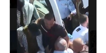 Una multitud recibe a los presos políticos palestinos