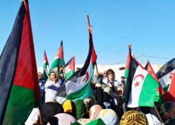 TINDUF. Miles de saharauis se manifestaron contra la resolución de EE.UU y Marruecos para su futuro (Fotos y videos)