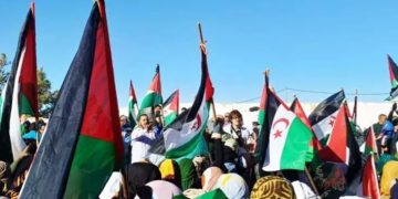 TINDUF. Miles de saharauis se manifestaron contra la resolución de EE.UU y Marruecos para su futuro (Fotos y videos)