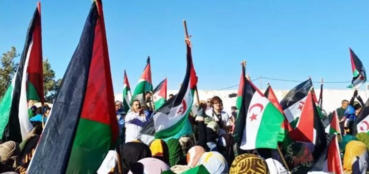 TINDUF. Miles de saharauis se manifestaron contra la resolución de EE.UU y Marruecos para su futuro (Fotos y videos)