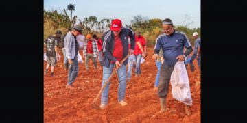 CUBA celebró el 66 aniversario del primer Trabajo Voluntario protagonizado por el Che; participó Díaz-Canel