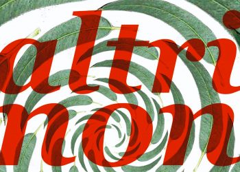 JORGE SEIJO. Acabemos con Altri