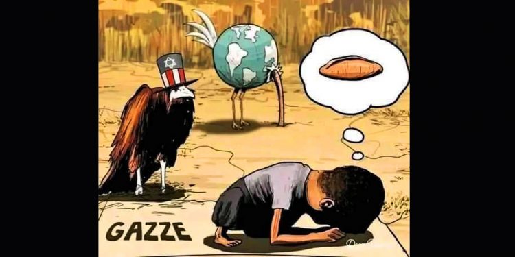 PALESTINA. Pese al (falso) alto el fuego, UNICEF subraya que la desnutrición infantil en Gaza está aumentando