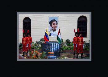 Venezuela y Palestina en una imagen