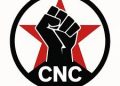 Coordinación de Núcleos Comunistas (CNC). La organización necesaria