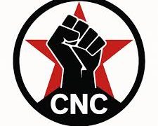 Coordinación de Núcleos Comunistas (CNC). La organización necesaria