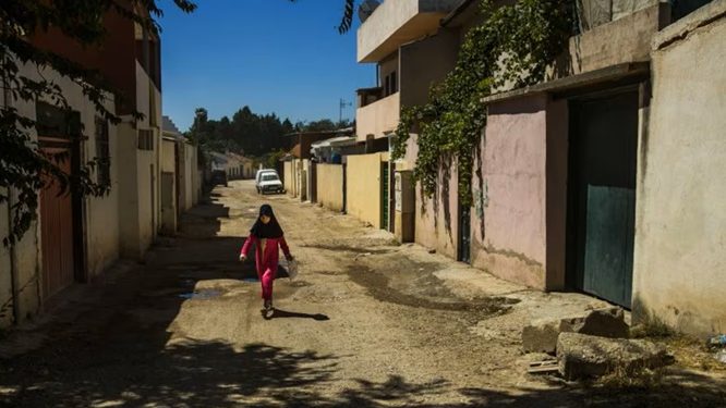 LA JARDINERA DE LAS 13 ROSAS. Te escucho hablar del…