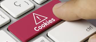 Guía para no aceptar «cookies» en la navegación por internet; atenta contra su privacidad