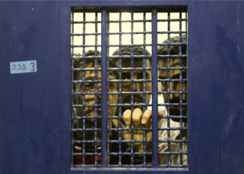 ISRAEL reconoce torturas a prisioneros palestinos