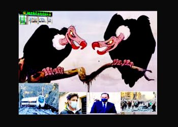 JOAQUÍN LUCENA: Hacer de la necesidad virtud.