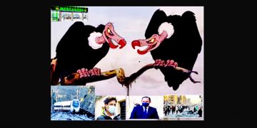 JOAQUÍN LUCENA: Hacer de la necesidad virtud.