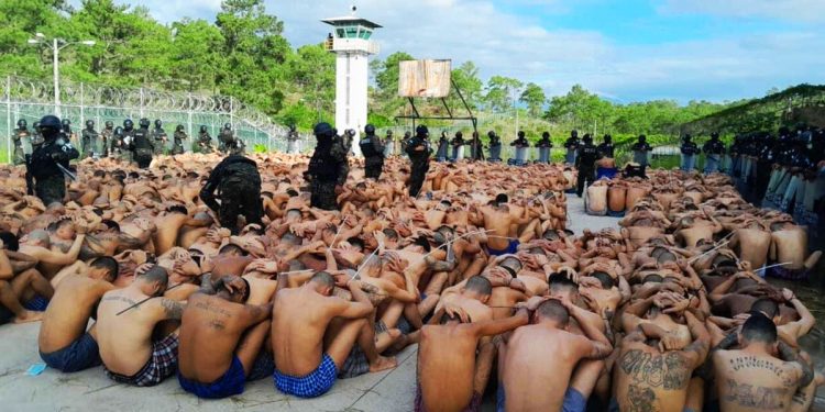 MARCELO COLUSSI. Maras y mareros (pandillas y pandillero en Centroamérica)