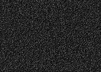 PALESTINA. Conozca a las personas asesinadas por Israel