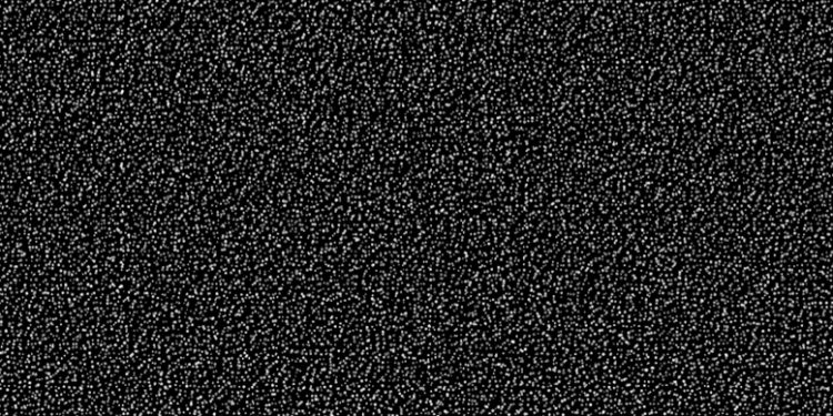 PALESTINA. Conozca a las personas asesinadas por Israel