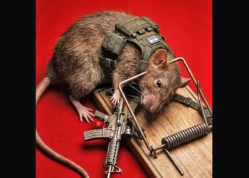 CNC. El imperialismo sionista naufraga frente a Irán y el Eje de la Resistencia