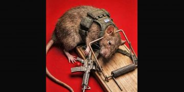 CNC. El imperialismo sionista naufraga frente a Irán y el Eje de la Resistencia