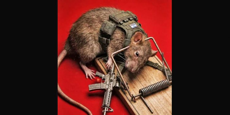 CNC. El imperialismo sionista naufraga frente a Irán y el Eje de la Resistencia