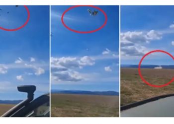 Juegos de guerra: el ejército de tierra destrozando un vehículo de 600.000 euros (lo lanzó en paracaidas)
