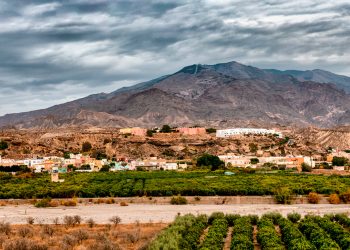 Este es el único pueblo que ganó Vox en las elecciones autonómicas andaluzas