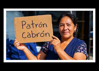 “Patrón cabrón”, ahí tienen una ilustrativa canción