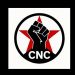 CNC. La Ucrania fascista contra la Ucrania antifascista y las tareas de la solidaridad internacionalista