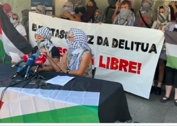 Colectivos de solidaridad con Palestina denuncian una «continua represión» bajo el amparo de la Ley Mordaza (Video)