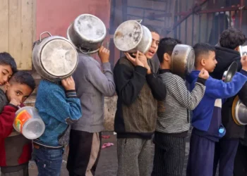 PALESTINA. ONU reduce entrega de alimentos en Franja de Gaza por falta de recursos (y por las restricciones de Israel)